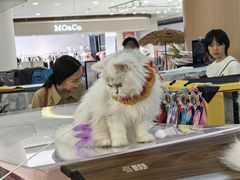 -阳光世纪奥特莱斯店