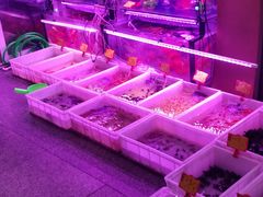 -宝鸡东道花鸟鱼虫市场(吉利花园商场店)