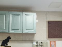 -半岛宠物医院24小时(白果林店)