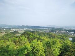 -云碧峰国家森林公园