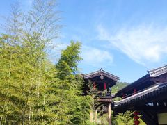 -大唐贡茶院