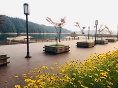 -千岛湖品鱼馆(钓鱼岛店)