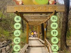-大岭沟猕猴桃谷风景区