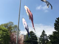 -北海道厅旧本厅舍(旧本庁舎)