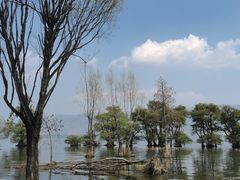 -大理洱海