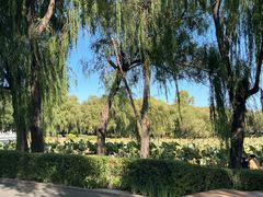 -长春市南湖公园