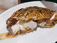-青蓬蒸汽海鲜·深圳老字号·团建聚会(壹方城店)