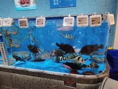 -盒马鲜生(富田新天地店)