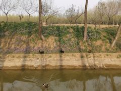 -东郊湿地公园