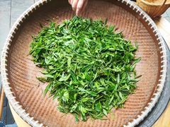 -龙坞茶村