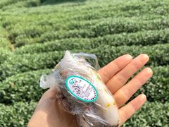 条头糕-江南春(中山中路店)