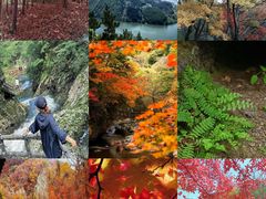-五女山景区