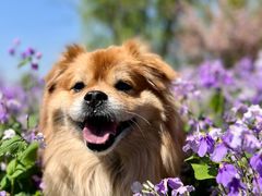 -梁鸿国家湿地公园