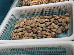 -王大厨·海鲜·家常菜