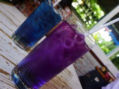 碟豆花饮品-蝶豆花蓝面条