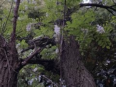 -美兰湖景区