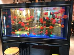 -釜山火炉韩式炭火烤肉(欧洲城店)