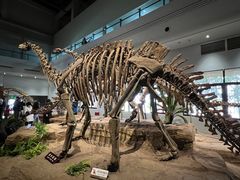 -自贡恐龙博物馆