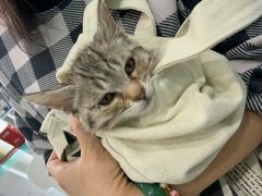 -安安宠医·臻爱宠物医院·宠保定点(营门口路分院)