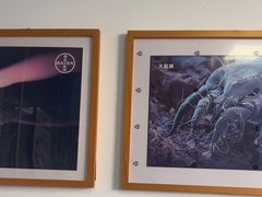 -瑞派福兴宠物医院犬猫全科·骨科·中西医结合(河东店)