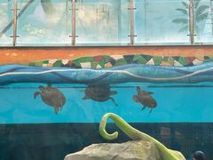 -望儿山温泉水乐园