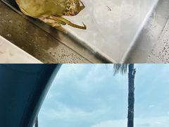 -南沙十九涌渔人码头-南门