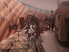 -陕西自然博物馆