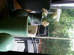 android_upload_pic-唐廊烤鸭店(工体店)