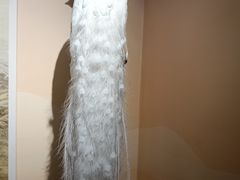 -北京麋鹿生态实验中心