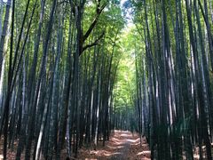 -宝岩生态观光园