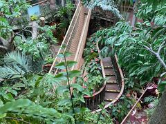 -正佳雨林生态植物园