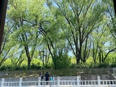 -皇家御河游(紫御湾码头)