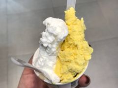 -柠檬车露(卖草地店)