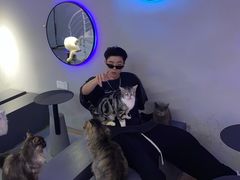 -极木²邸 人与宠物·互动社区