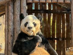 -大连森林动物园