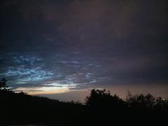 -长虫山生态公园风景林