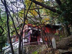-惠山国家森林公园