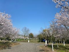 -上海海湾国家森林公园