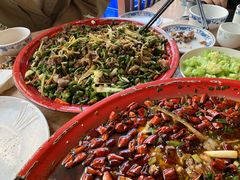 -东吴霸王兔(松青路店)