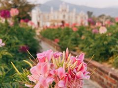 -玫瑰海岸文化旅游度假区