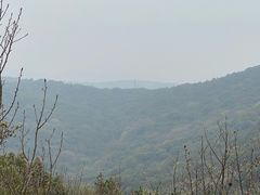 -宝界山林公园