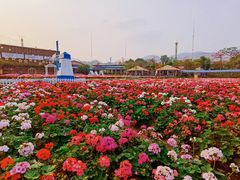 -盈香心动乐园