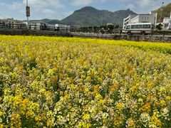 -丰收渔港饭店(嵊泗店)