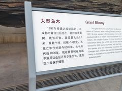 -金沙遗址博物馆