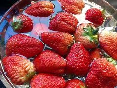 -百果园(东莞新世纪明上居2店)