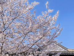 -广富林郊野公园