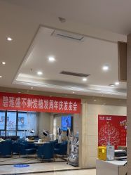 -碧莲盛·不剃发植发