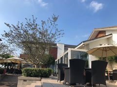 -望海·帆船主题咖啡厅•品茗下午茶(石湖景区店)