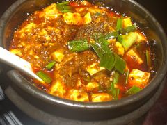 -陈麻婆豆腐总店