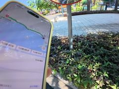 -龙泉人椰子鸡.糟粕醋.海南菜(三亚旗舰店)